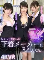 DOVR-081 - [VR] Are You A Fresh Face?? Could You Please Check To See How My Lingerie Fits!? I Got A Job At A Slightly Unusual Lingerie Company... The Big Tits President: An Mashiro The Slut Department Chief: Hina Nanase And My Maso Colleague: Tsugumi Mizusawa