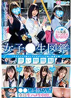 SKMJ-200 - A Picture Book Of High S*********ls: The Blue Uniform Edition