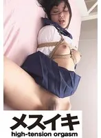 ZZZM-01543 -  Lewd and Sensual Bondage Part.3