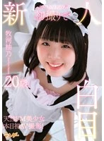 TEND-029 JAV Movie