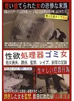 RSINO-119 JAV Movie