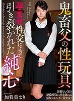 AMBI-108 - Papa's A Pervert! And He Loves His Sex Toys! An Innocent Heart, Torn Apart By Pregnancy Fetish Lust Mari Kagami