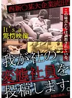 SPZ-294 - Posting Videos Of The Slut From Our Office