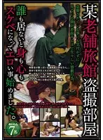SPZ-753 - A Certain Japanese Inn Voyeur Room Erotic Things Begin As The Mind And Body Become Perverted When No One's Around