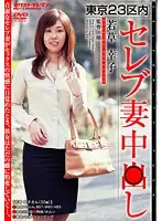 VNDS-712 - Inside the 23 . Cumming in Celebrities. Sachiko Wakakusa