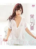 SPRBD-003 JAV Movie