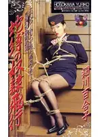 jb003 - Stewardess Sex S***e Up In The Air