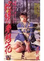 jb044 JAV Movie