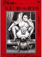KITD-024 - Genuine Masochists The Queen and Her S***es Party Revelry! The S***e Town of Darkness