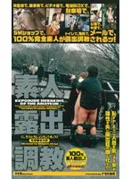 mdj036 JAV Movie