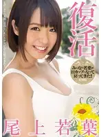 MIAD-844 JAV Movie