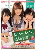 MIAD-889 - Private Harem - Dirty Talk Academy