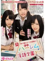 MIAD-994 - Private Harem Dirty Talk Academy 3!!!