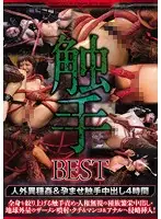 MIBD-974 - T******es BEST Evildoer Interspecies Sex & Pregnancy Fetish T******e Creampies 4 Hours