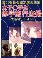 mlug001 - Committee-Approved Dorm Leak! Girl S*****ts Field Trip Voyeur -Public Bath and Toilet-