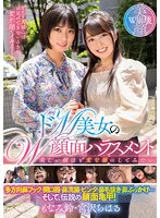 MVG-032 -  W facial harassment of de M beauty Chiharu Miyazawa / Monami bell