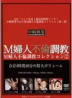 NHSD-009 - Masochistic Lady's Adultery Breaking In Collection 2