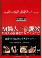 NHSD-010 - Masochistic Lady's Adultery Breaking In Collection 3