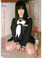 NKD-137 - Barely Legal Girl P****hed Through Perverted Breeding 3 Sayaka Aishiro