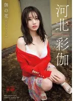 OAE-262 JAV Movie