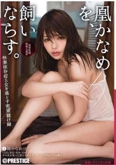 ABP-644 JAV Movie