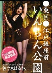 SAD-013 - Big Tits Transsexual's Cool Sexual A*****t: Hot Plays Manaka