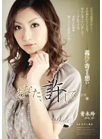 RBD-217 - Darling, Forgive Me... Memories of Brother In Law - Rei Aoki