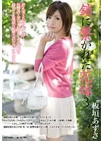 RBD-547 JAV Movie