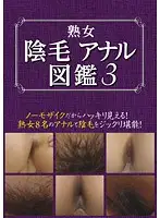 RSE-007 - MILF Anal Pubes Illustrated 3 3