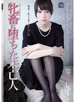 SHKD-682 - Widow Reduced To A Horny Bitch Shizuki Memori