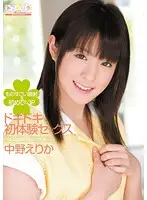 SPS-041 - Exciting First Sex Experience Erika Nakano