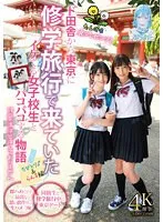 TANF-015 -  DandelionPresents! A story about having sex with a cool high school girl who came from the countryside to Tokyo on a school trip.Chibitori&Ran edition