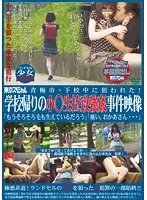 TSP-202 - Ome City - Targeted From School! Y********l Abducted on Her Way Home and R**ed 