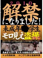 VFNL-002 JAV Movie