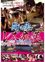 VICD-070 - Beach House Lesbian M****ters