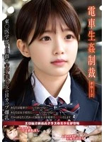 YDNS-012 - Punishment for Rape on a Train #012