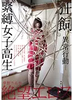 ZBES-034 - Eros Company Of Despair Rinka Yumeno Insane And Abnormal Domestication Bondage Honor Roll